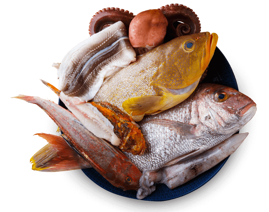 魚介素材